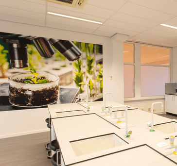 Modern practicumlokaal met werktafels, spoelbakken, wandkasten en een verlichte vitrinekast.